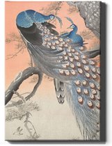 Walljar - Ohara Koson - Two Peacocks On Tree Branch - Muurdecoratie - Canvas schilderij