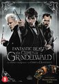 Fantastic Beasts: The Crimes of Grindelwald + Magical Creature Cards