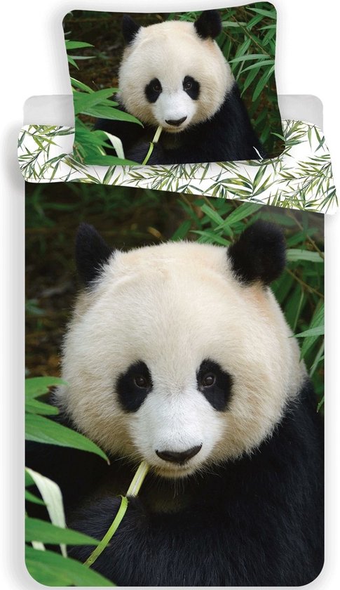 Animal Pictures Panda - Housse de couette - Unique - 140 x 200 cm - Multi