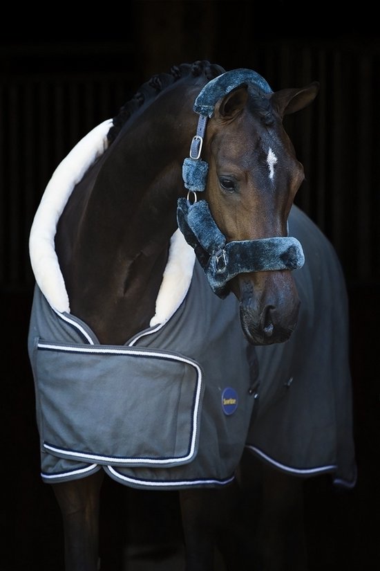 Couverture de démonstration HB Polar 400 Dutch Crown