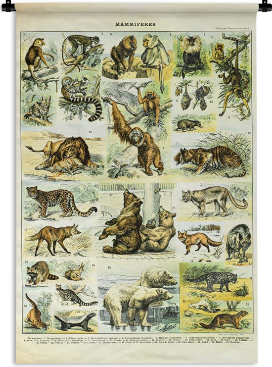 Tapisserie - Toile murale - Animaux - Singe - Ours - 90x135 cm - Tapisserie