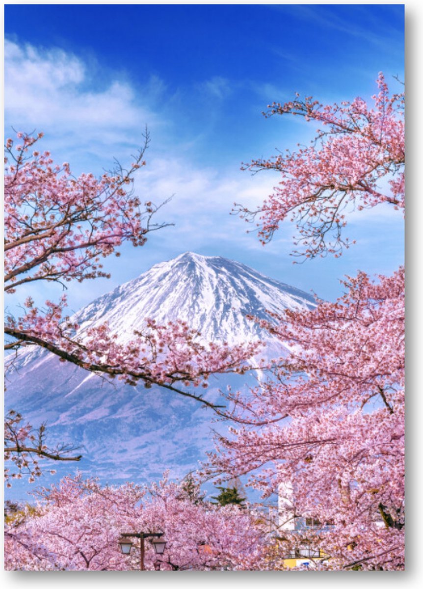 Japandi
