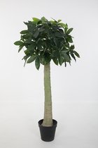 Kunstplant Pachira - topkwaliteit decoratie - Groen - zijden plant - 165 cm hoog