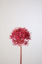 Kunstbloem Allium - topkwaliteit decoratie - Fuchsia - Cerise - zijden tak - 14 cm hoog