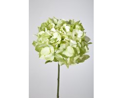 Kunstbloem Hortensia - topkwaliteit decoratie - Groen - zijden tak - 48 cm hoog - 2 stuks