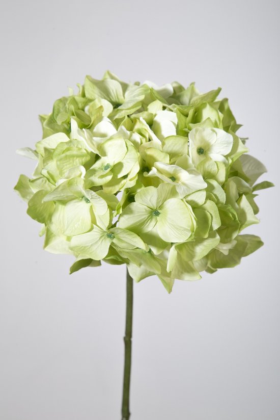 Kunstbloem Hortensia - topkwaliteit decoratie - Groen - zijden tak - 48 cm hoog - 2 stuks