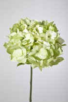 Kunstbloem Hortensia - topkwaliteit decoratie - Groen - zijden tak - 48 cm hoog