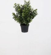Kunstplant Buxus - topkwaliteit decoratie - Groen - zijden tak - 31 cm hoog