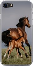 Geschikt voor iPhone 8 hoesje - Dieren - Paarden - Veulen - Siliconen Telefoonhoesje