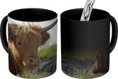 Magische Mok - Foto op Warmte Mok - Schotse Hooglander Kop - Landschap - Koe - 350 ML - Uitdeelcadeautjes
