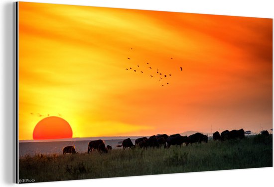 Wanddecoratie Metaal - Aluminium Schilderij Industrieel - Zonsondergang met een erg mooie lucht in het Nationaal park Serengeti - 80x40 cm - Dibond - Foto op aluminium - Industriële muurdecoratie - Voor de woonkamer/slaapkamer