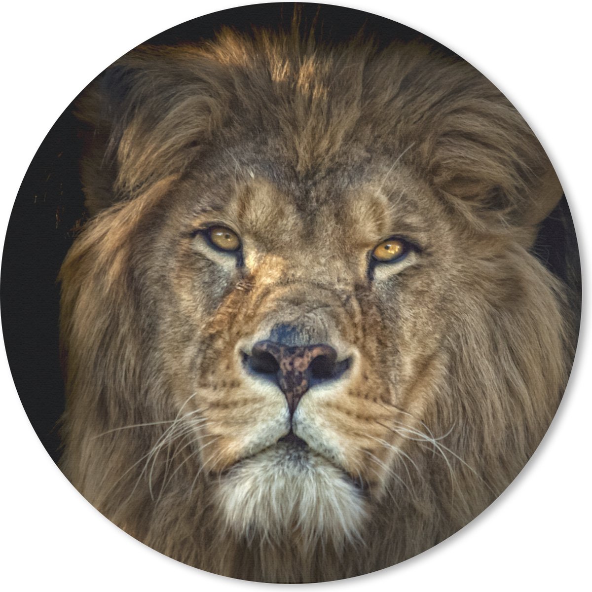 Muismat rond 30x30 cm - Mousepad Zwart - Leeuw - Wilde dieren - Ronde muismatten
