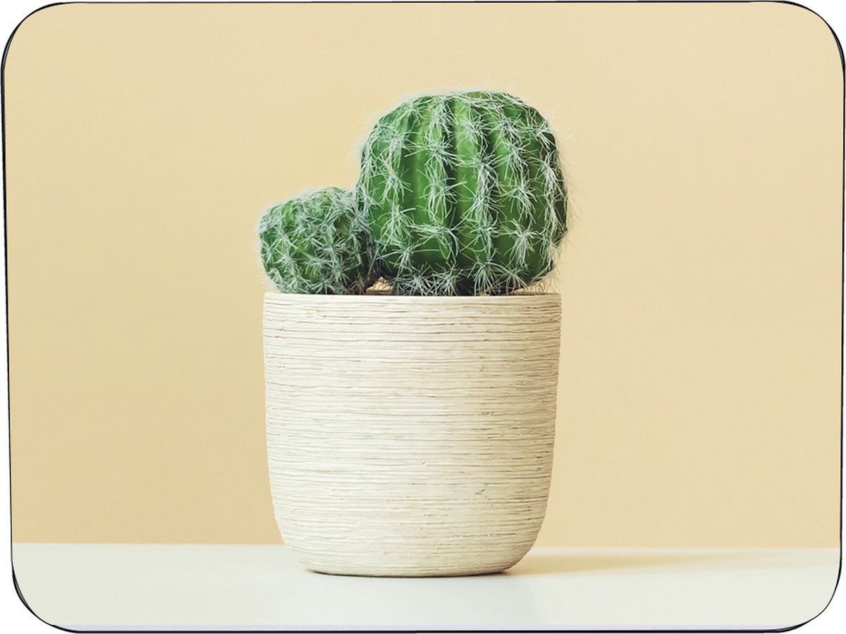 Muismat Rubber - Hoge kwaliteit foto van een cactus - Muismat op polyester bedrukt - 25 x 19 cm - Anti-slip muismat - 5mm dik - Muismat met foto - heerlijk voor op je bureau