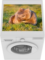 Wasmachine beschermer mat - Een wombat bij zonsondergang - Breedte 55 cm x hoogte 45 cm