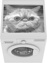 Wasmachine beschermer mat - Close up van een Exotic korthaar kat - zwart wit - Breedte 55 cm x hoogte 45 cm