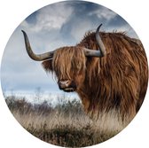 Behangcirkel Buffel | ⌀ 100 cm | Zelfklevend | Wanddecoratie | Ronde Muursticker | Muurcirkel Binnen
