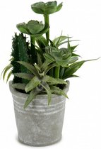kunstplant Cactus 15 x 24 cm keramiek groen