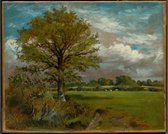 Kunst: Lionel Bicknell Constable, Tree in a Meadow, c. 1850, Schilderij op canvas, formaat is 60X90 CM