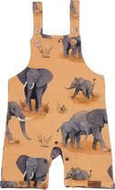 Elephant Family Romper Bio-Babykleertjes Bio-Kinderkleding