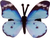 Haarclipje vlindertje blauw - 6 cm