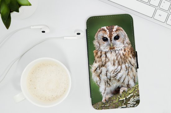 Bookcase Adaptée à la coque de téléphone iPhone XR - Hibou marron assis sur un arbre - Avec compartiments - Étui portefeuille avec fermeture magnétique