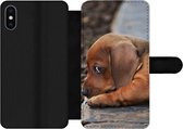 Bookcase Geschikt voor iPhone XS Max telefoonhoesje - Teckel puppy ligt op de rand van de stoep - Met vakjes - Wallet case met magneetsluiting