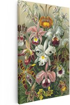 Artaza Canvas Schilderij Orchidee - Bloemen - Ernst Haeckel - 60x90 - Kunst - Canvas Print - Muurdecoratie