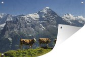Tuinposters buiten Uitzicht op Eiger in de vallei van Grindelwald in Zwitserland - 90x60 cm - Tuindoek - Buitenposter