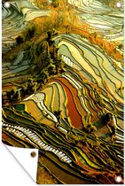 Tuinposter - Tuindoek - Tuinposters buiten - Prachtig kleurenpalet van rijstvelden in China - 80x120 cm - Tuin