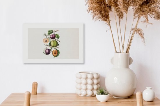 Peinture sur toile Nourriture - Fruits - Pêche - 30x20 cm - Décoration murale
