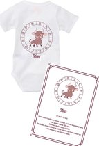 Romper en schilderij sterrenbeeld Stier (baby) maat 50/56 cadeau set