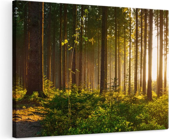 Artaza - Peinture sur Toile - Forêt avec Soleil entre les Arbres - 120x80 - Groot - Photo sur Toile - Impression sur Toile