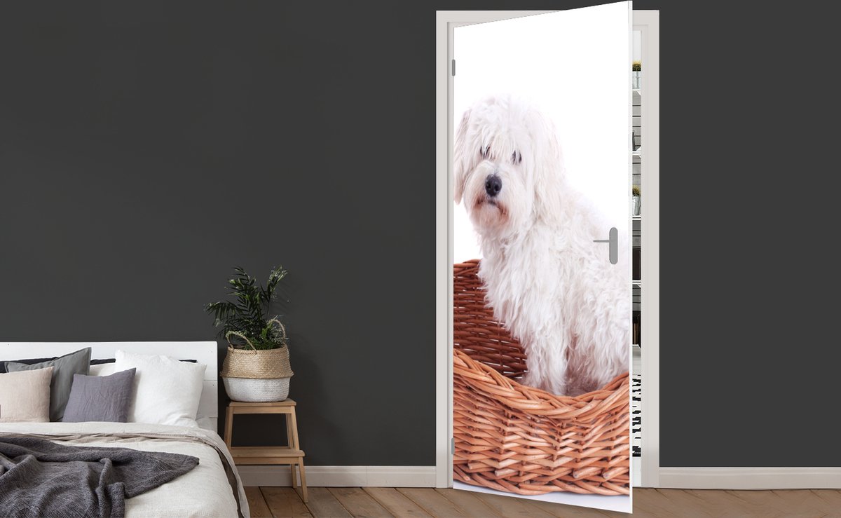 Afbeelding van product StickerSnake  Deursticker Maltezer hond zit in een mand - 75x205 cm - Deurposter