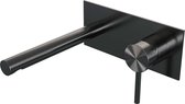 Brauer Gunmetal Edition - Wastafelkraan - Inbouw - Geborsteld Gunmetal PVD - 1 Greeps - Model A1 - Rechte Uitloop & Afdekplaat