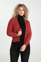 Cassis Dames Cardigan met vleermuismodel en glitters - T-shirt - Maat S/M