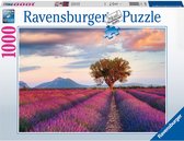 Puzzel 1000 stukjes Lavendel velden