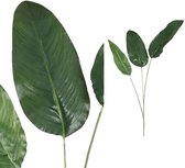 PTMD Leaves Plant Paradijsvogel Blad Kunsttak - 97 x 38 x 138 cm - Groen