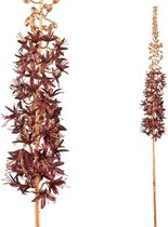 PTMD Twig Plant Eremurus Kunsttak - 43 x 8 x 86 cm - Rood/Goud
