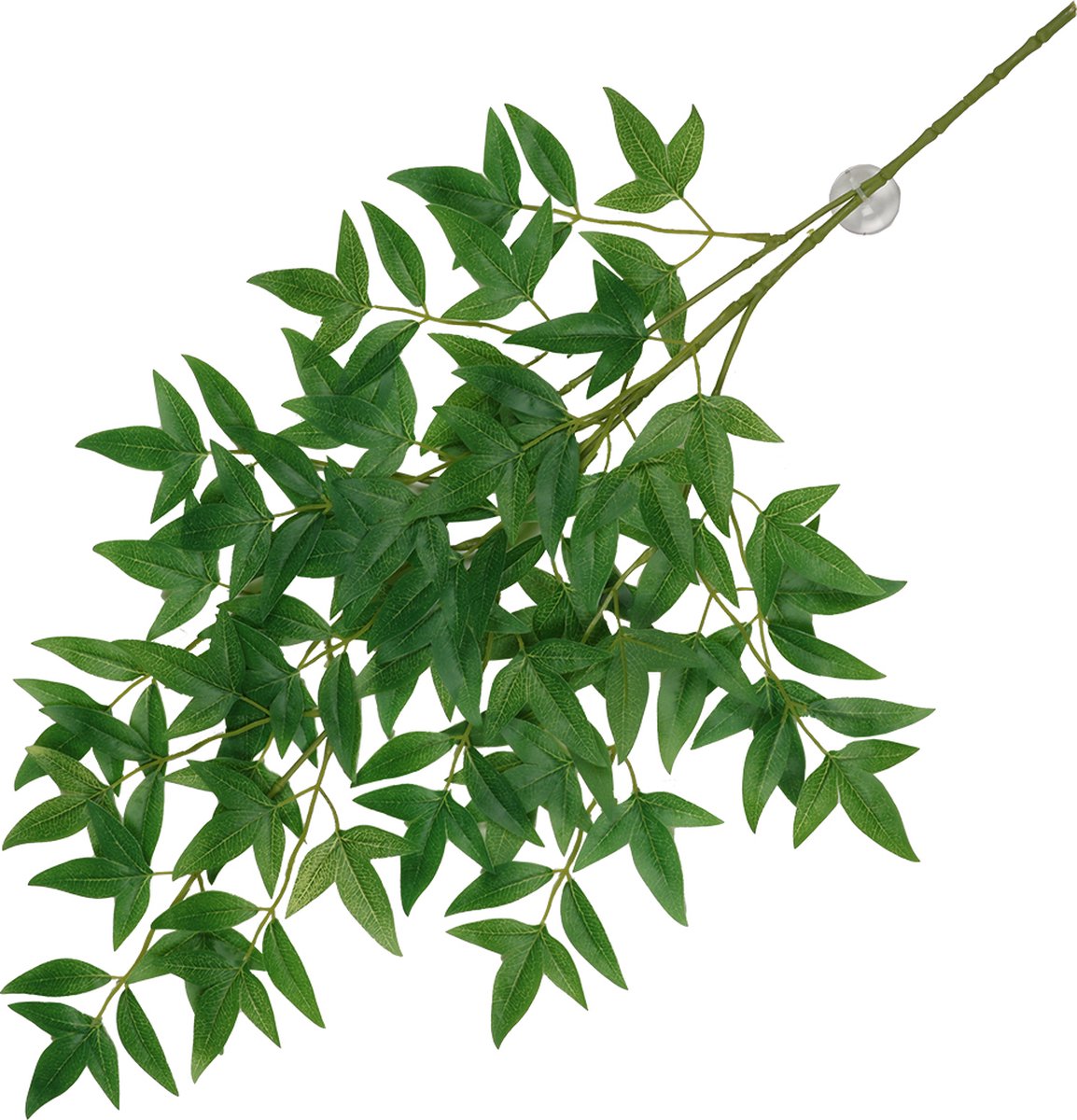 Aqua della hangende plant nandina 65x35x1,5cm groen