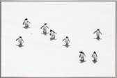 JUNIQE - Poster met kunststof lijst Snow Penguins -20x30 /Wit & Zwart