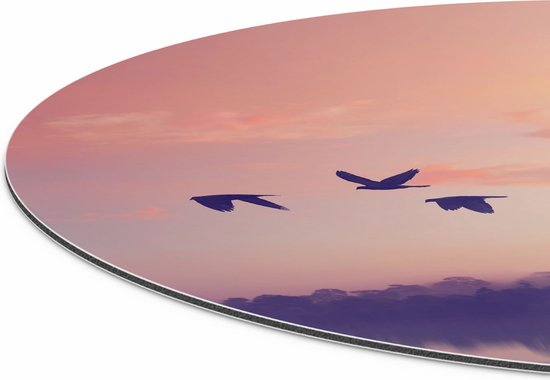 Cercle Mural Artaza Dibond - Silhouette Vogels Au Coucher Du Soleil - Ø 70 cm - Cercle Mural - Tableau Rond - Pour Intérieur et Extérieur