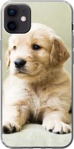 Geschikt voor iPhone 12 mini hoesje - Golden Retriever puppy liggend op de bank - Siliconen Telefoonhoesje