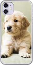Geschikt voor iPhone 11 hoesje - Golden Retriever puppy liggend op de bank - Siliconen Telefoonhoesje