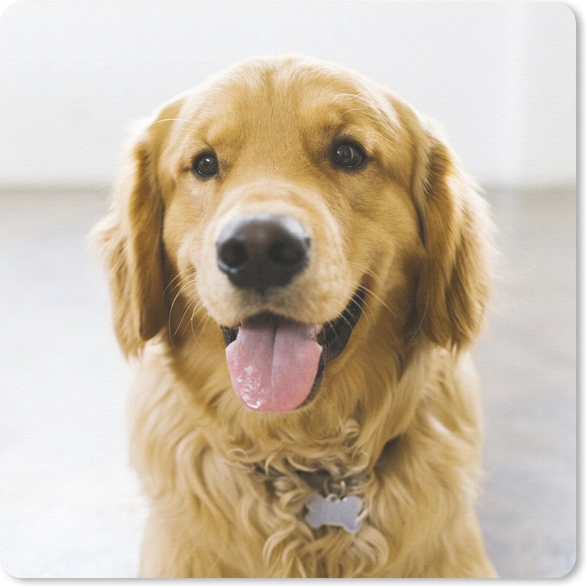 Muismat 30x30 cm - Mousepad Portret van een super mooie Golden Retriever - Muismatten