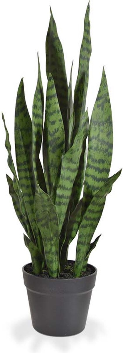 maxifleur Kunstplanten Sanseveria kunstplant N 70cm - groen