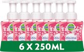 Dettol - Handzeep - Zachte Mousse - Antibacterieel - Roos & Kersenbloesem - 6 x 250 ml