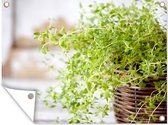 Tuin decoratie Rieten mand met de lichtgroene tijm planten op een rustieke tafel - 40x30 cm - Tuindoek - Buitenposter