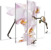 Schilderij - Delightful Orchid (5 Parts) Wide.