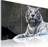 Schilderij - Witte tijger.