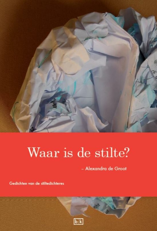 Cover van het boek 'Waar is de stilte?'